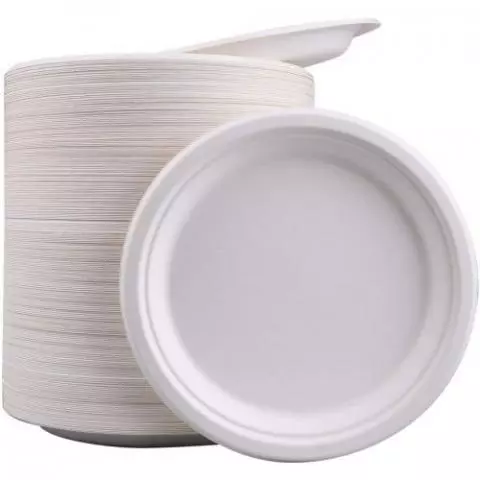 Disposable Plates