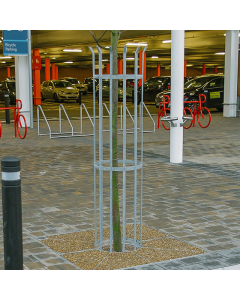 Metal Tree Guard - Pathway