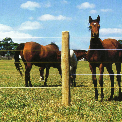 Buy Equestrian Support Wire Fencing