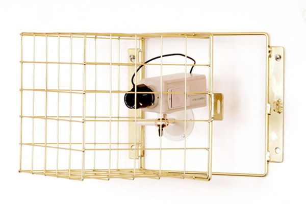 Cctv camera protector clearance