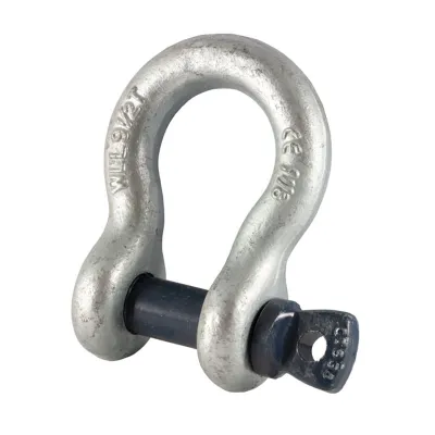 Blue Pin Shackle - Screw Collar Pin