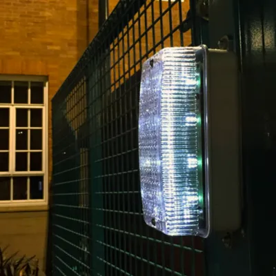 Bulkhead Light