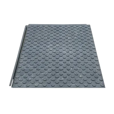 Pedestrian Walkway Mat