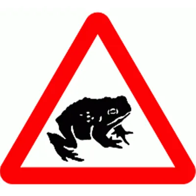 Toad Crossing Ahead Toad Crossing Ahead
