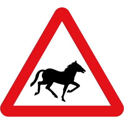 Wild Horse Road Sign Wild Horse Road Sign